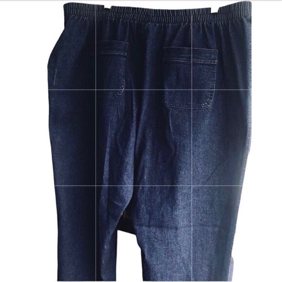 NWT Allison Daley Plus Women’s Blue Denim Pants 4 Pockets Comfy Elastic Waist - Picture 2 of 3
